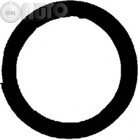 Garnitura -  racord evacuare 