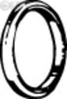 Garnitura -  racord evacuare 