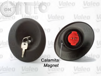 Buson rezervor de combustibil 