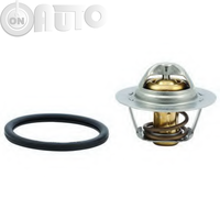 Termostat lichid racire 