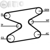 Set curea transmisie cu caneluri 