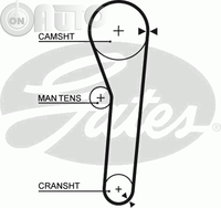 Curea de distributie 