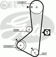 Curea de distributie 