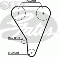 Curea de distributie 