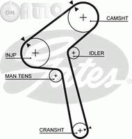 Curea de distributie 