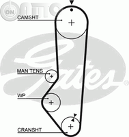Curea de distributie 