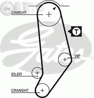 Curea de distributie 
