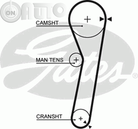 Curea de distributie 