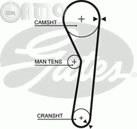 Curea de distributie 