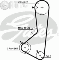 Curea de distributie 