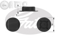 Buson - vas expansiune 