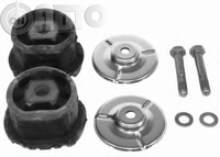 Set reparatie -  bucsa punte spate  