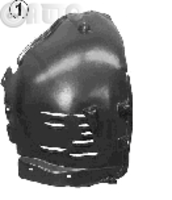 Carenaj (pasaj) aripa 