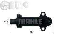 Termostat lichid racire 