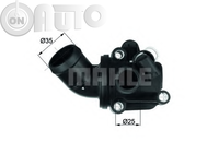 Termostat lichid racire 