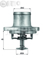 Termostat lichid racire 