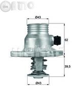 Termostat lichid racire 