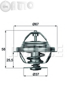 Termostat lichid racire 