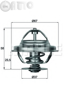 Termostat lichid racire 