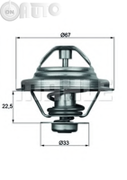 Termostat lichid racire 