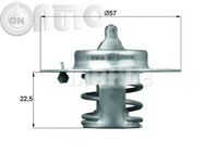 Termostat lichid racire 