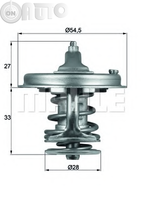 Termostat lichid racire 
