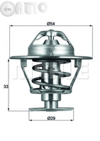 Termostat lichid racire 