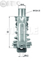 Termostat lichid racire 