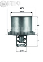 Termostat lichid racire 
