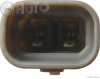 Pompa centrala -  frana 