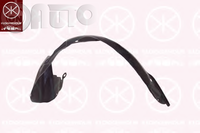 Carenaj (pasaj) aripa 