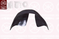 Carenaj (pasaj) aripa 