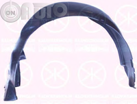 Carenaj (pasaj) aripa 