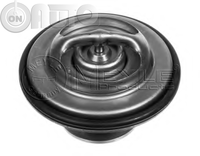 Termostat lichid racire 