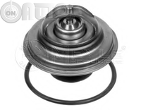 Termostat lichid racire 