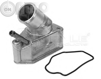 Termostat lichid racire 