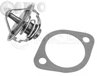 Termostat lichid racire 