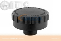 Buson - vas expansiune 