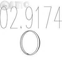 Garnitura -  racord evacuare 