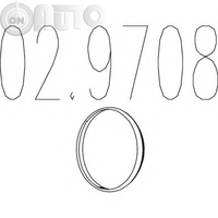 Garnitura -  racord evacuare 