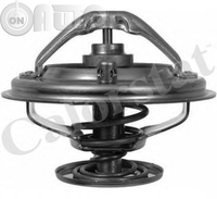 Termostat lichid racire 