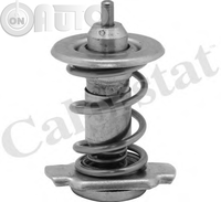 Termostat lichid racire 