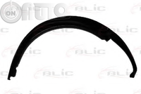 Carenaj (pasaj) aripa 